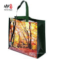 foldable pp woven shopping bag for sale